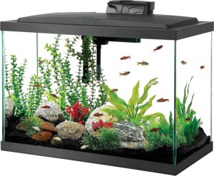 Aqueon LED Fish Aquarium Starter Kit