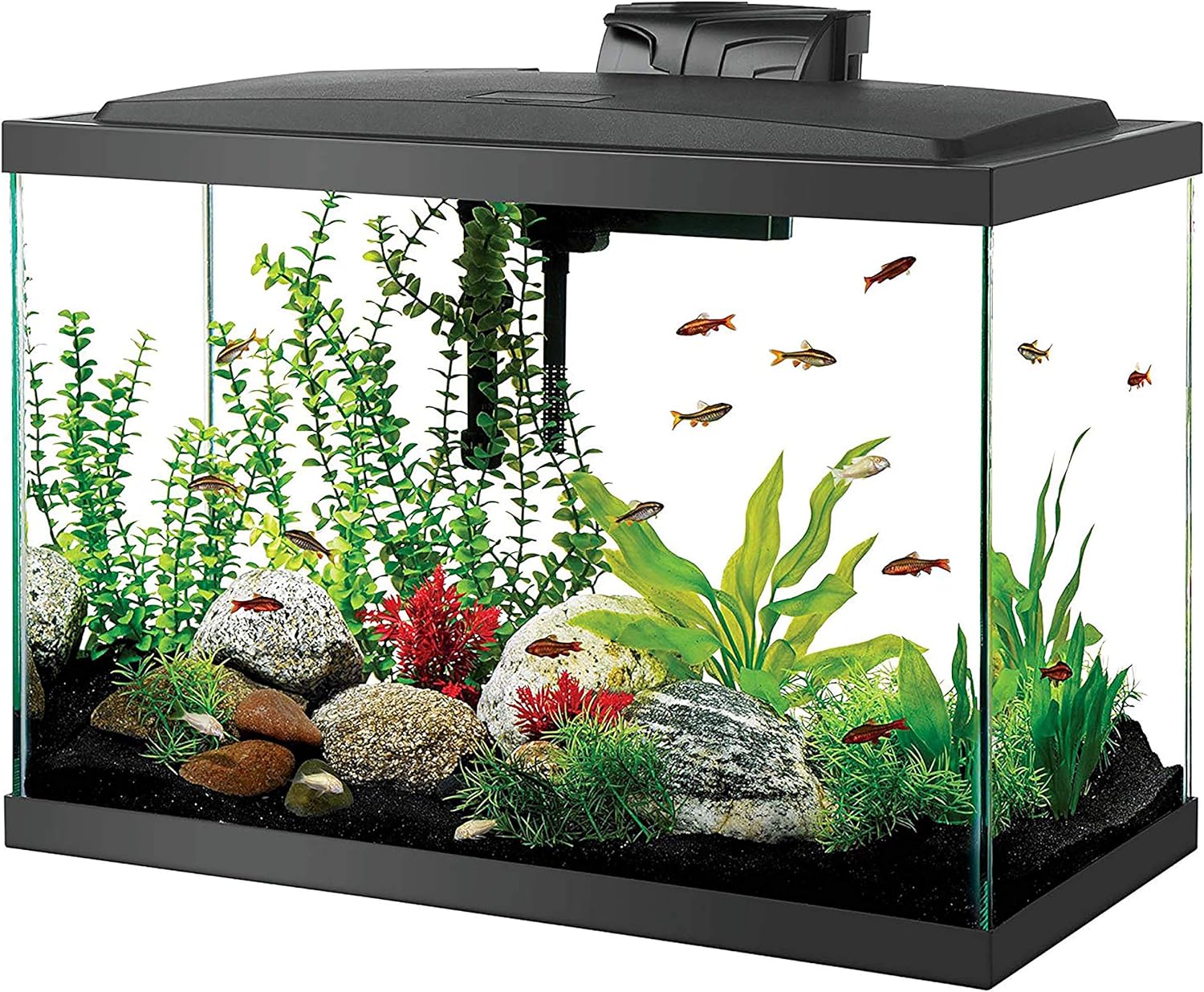 Aqueon LED Fish Aquarium Starter Kit