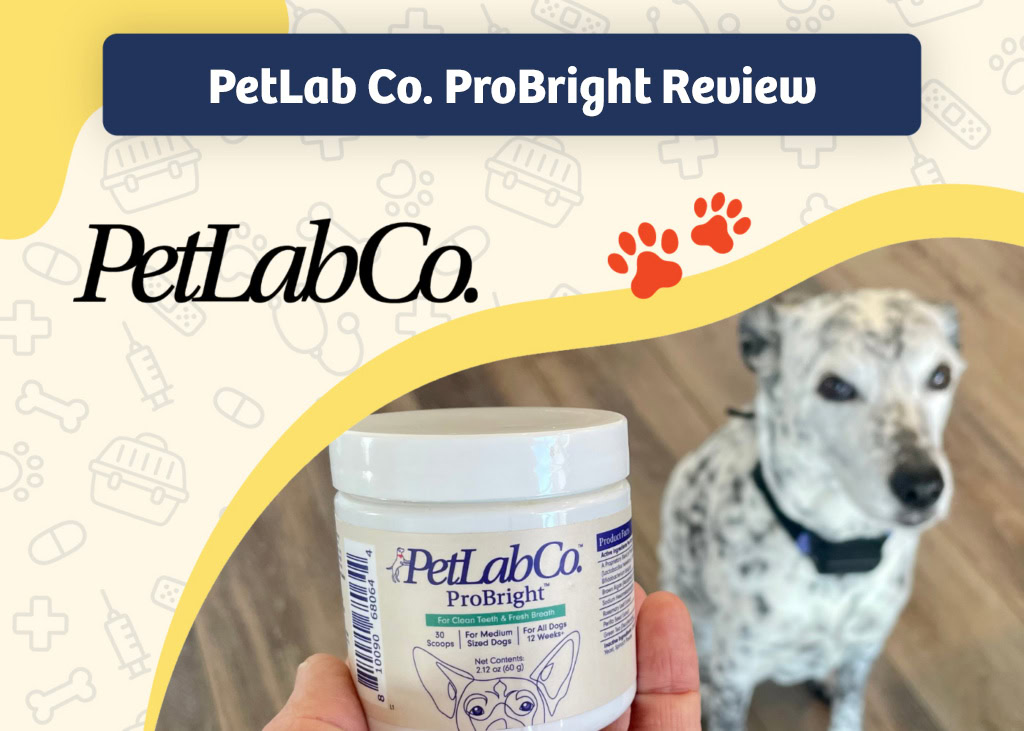 PangoVet_Review_PetLab Co. ProBright Review