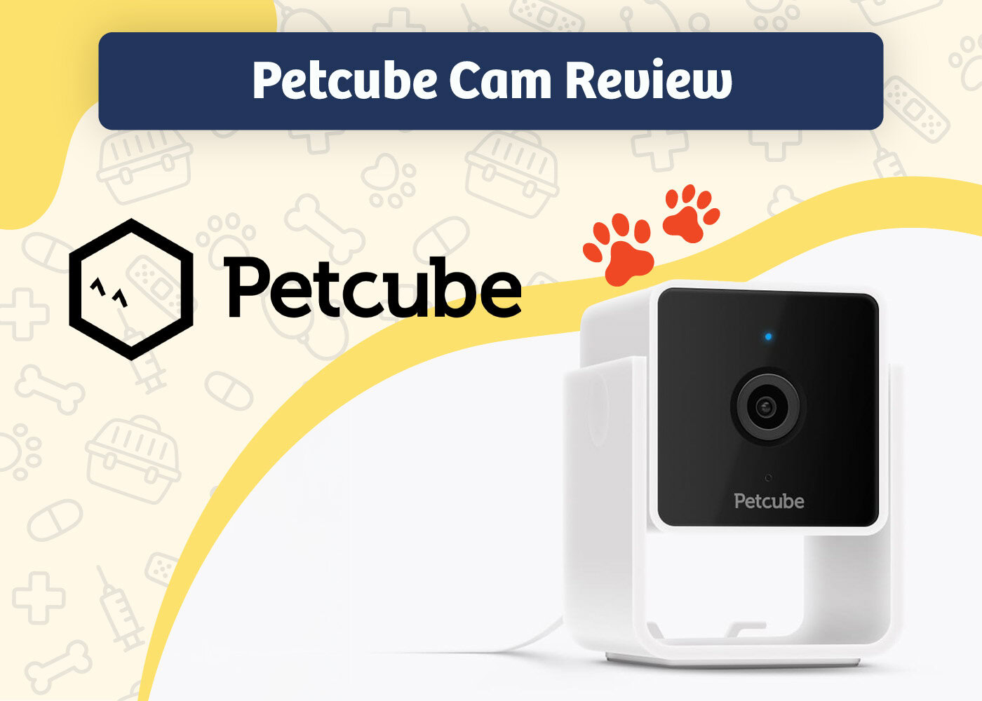 PangoVet_Review_Petcube Cam Review