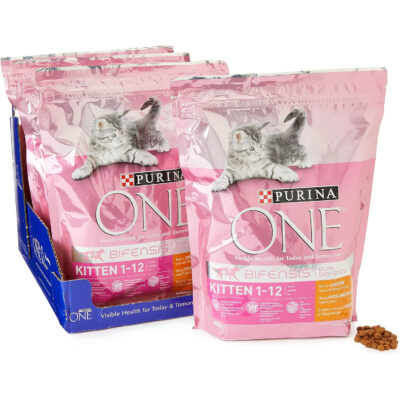 Purina One Kitten Dry Cat Food
