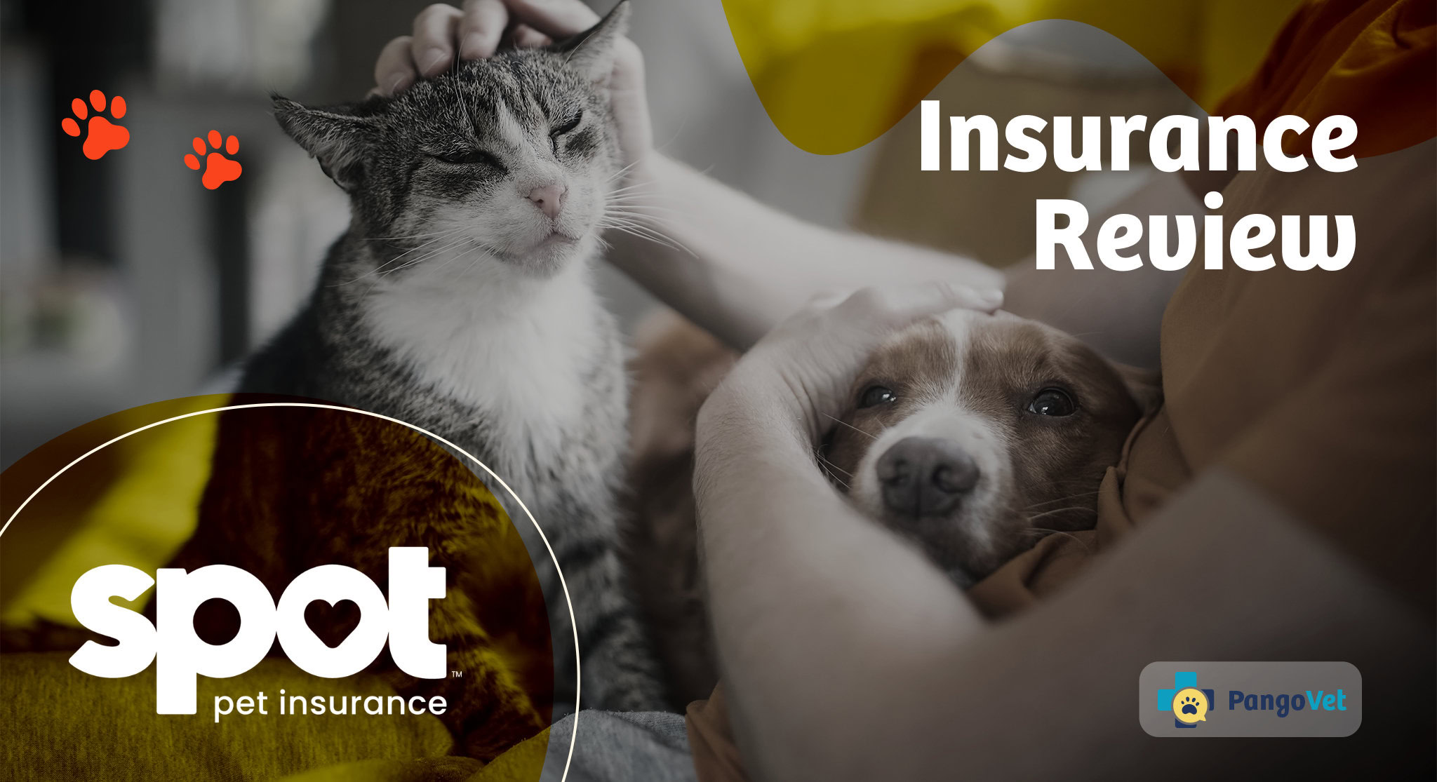 Spot Pet Insurance