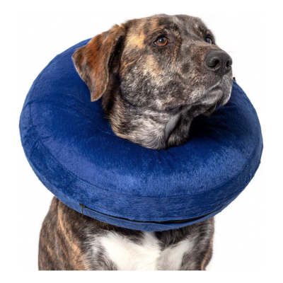 Calm Paws Basic Inflatable Dog Collar