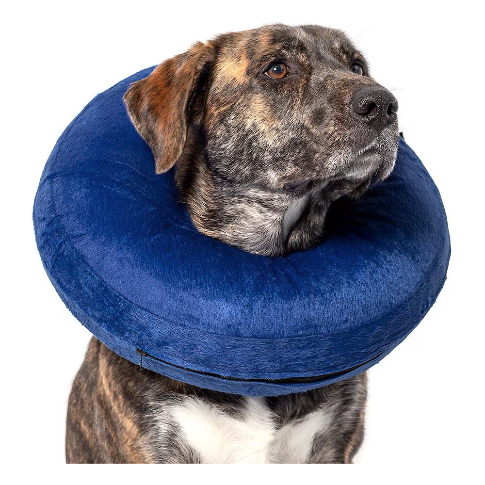 Calm Paws Basic Inflatable Dog Collar