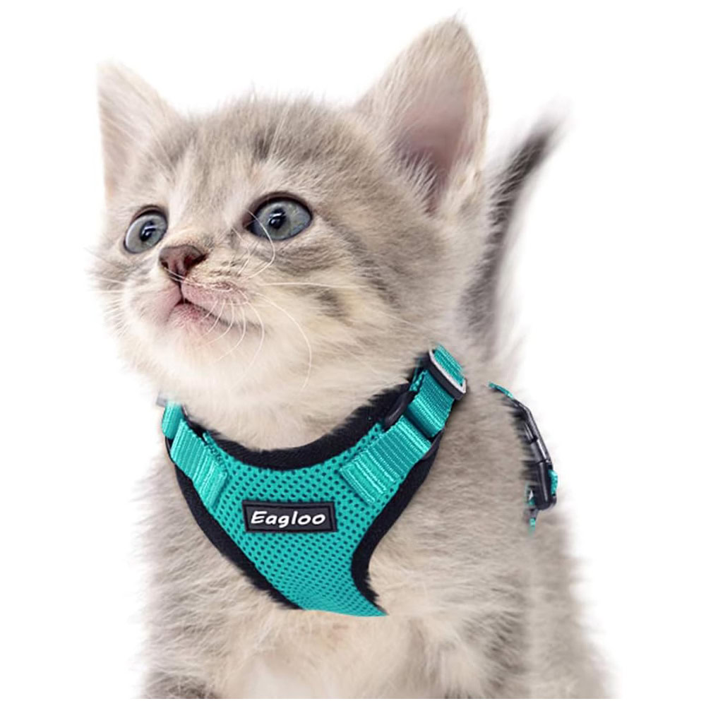 Eagloo Cat Harness
