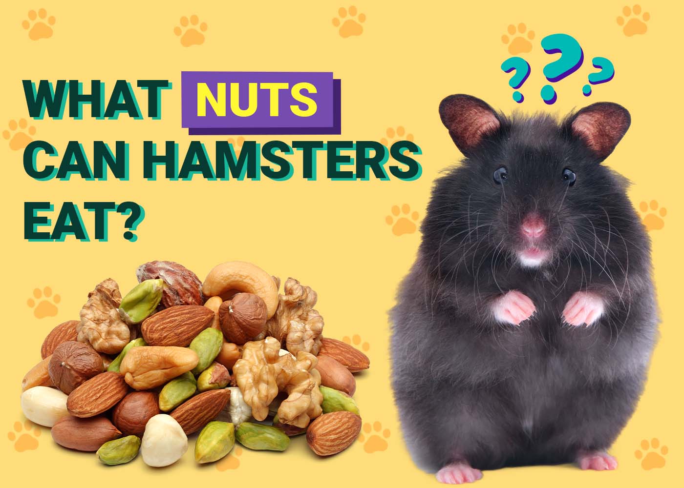 PangoVet_What Nuts Can Hamsters Eat