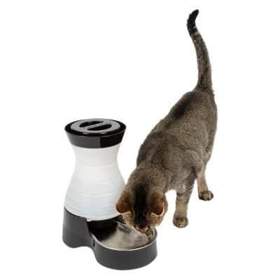 PetSafe Healthy Pet Water Station