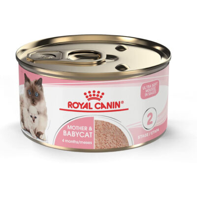 Royal Canin Mother and Babycat Wet Food