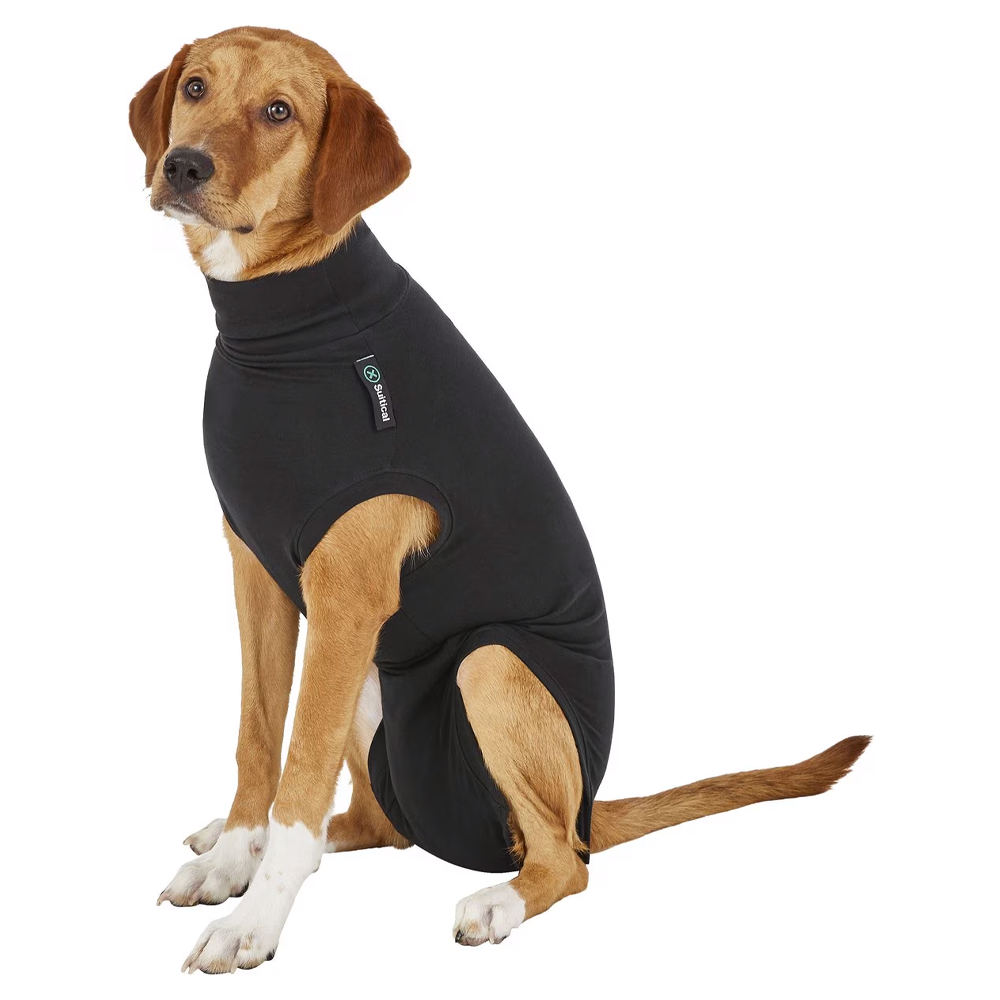 Suitical Recovery Suit for Dogs