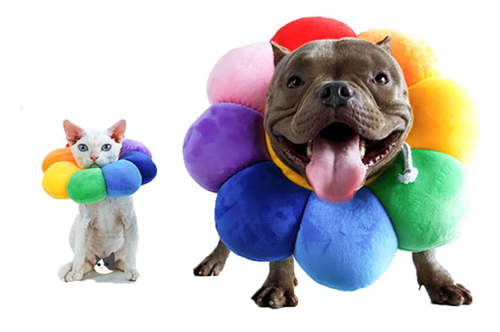 ccypet Adjustable Recovery Collar