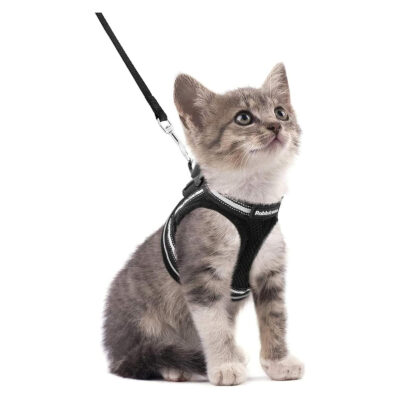 Rabbitgoo Escape Proof Cat Harness