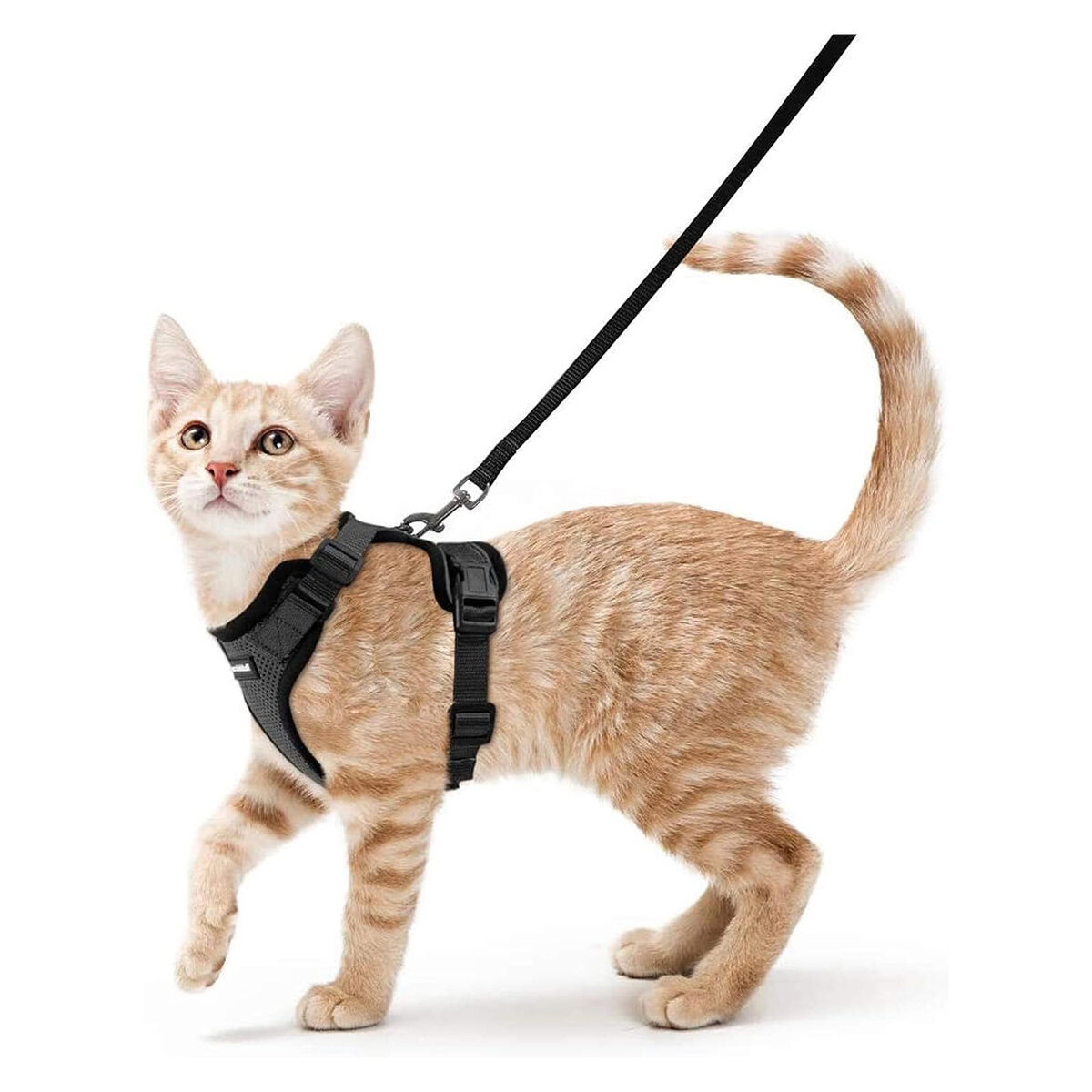 rabbitgoo Cat Harness and Leash for Walking