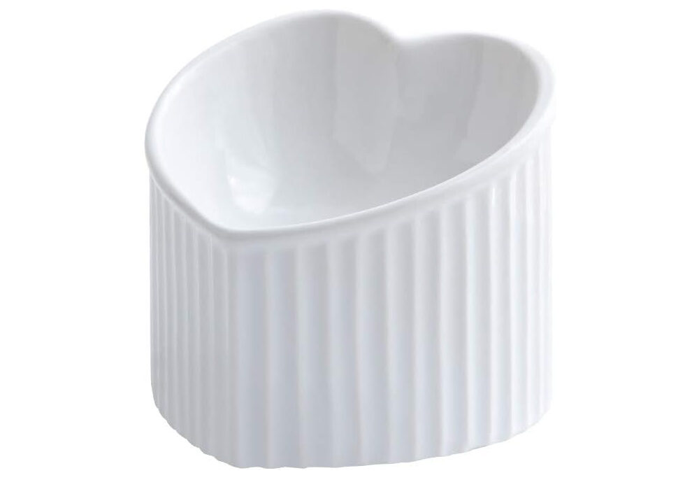 LIONWEI Raised and Tilted Ceramic Cat Bowl