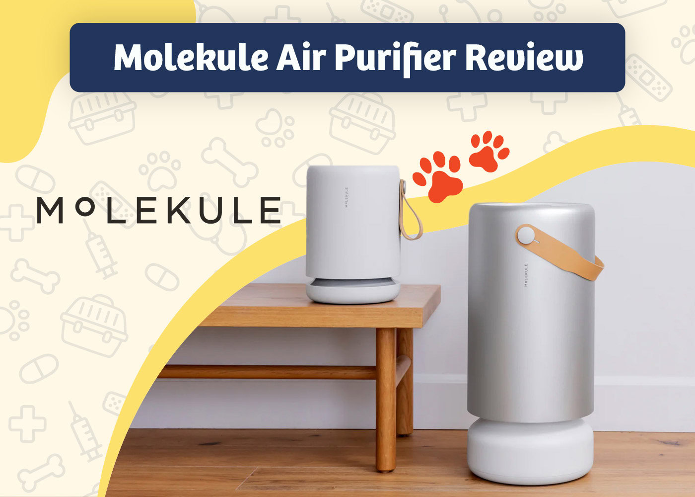 PangoVet_Review_Molekule Air Purifier Review