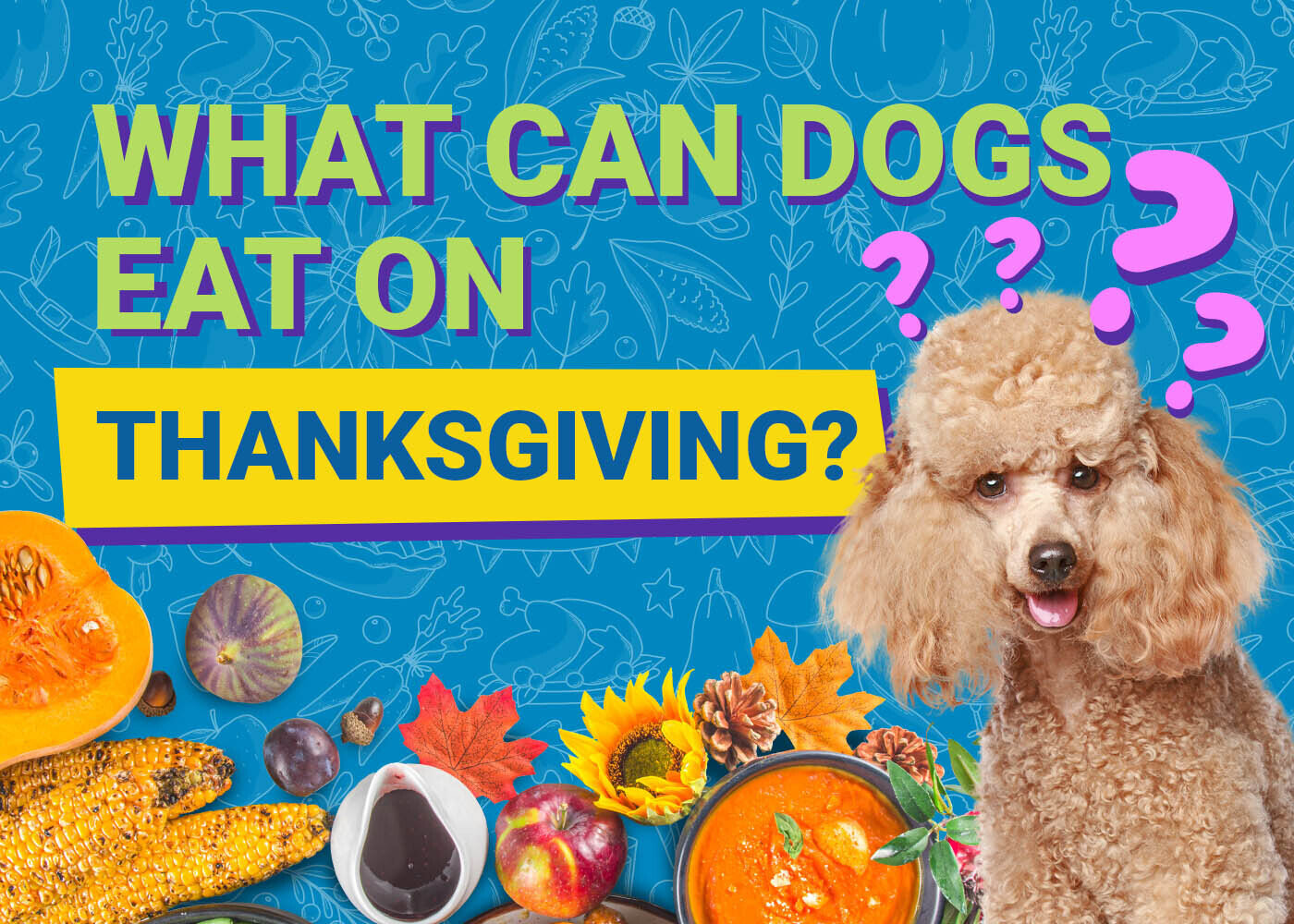 PangoVet_What Can Dogs Eat on Thanksgiving_v1_Aug 16 2024