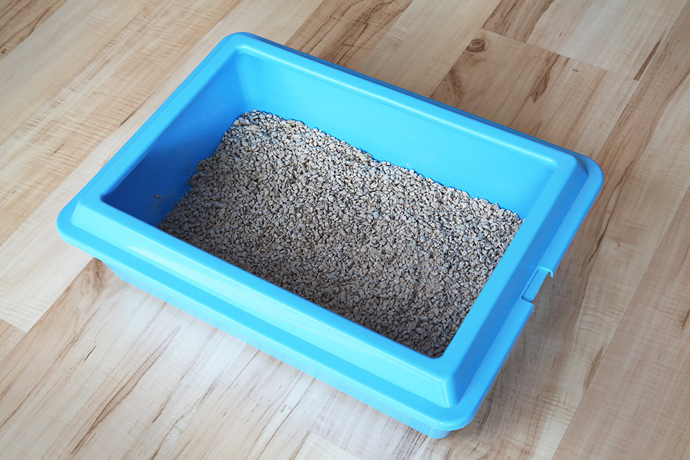 blue cat litter box on the floor