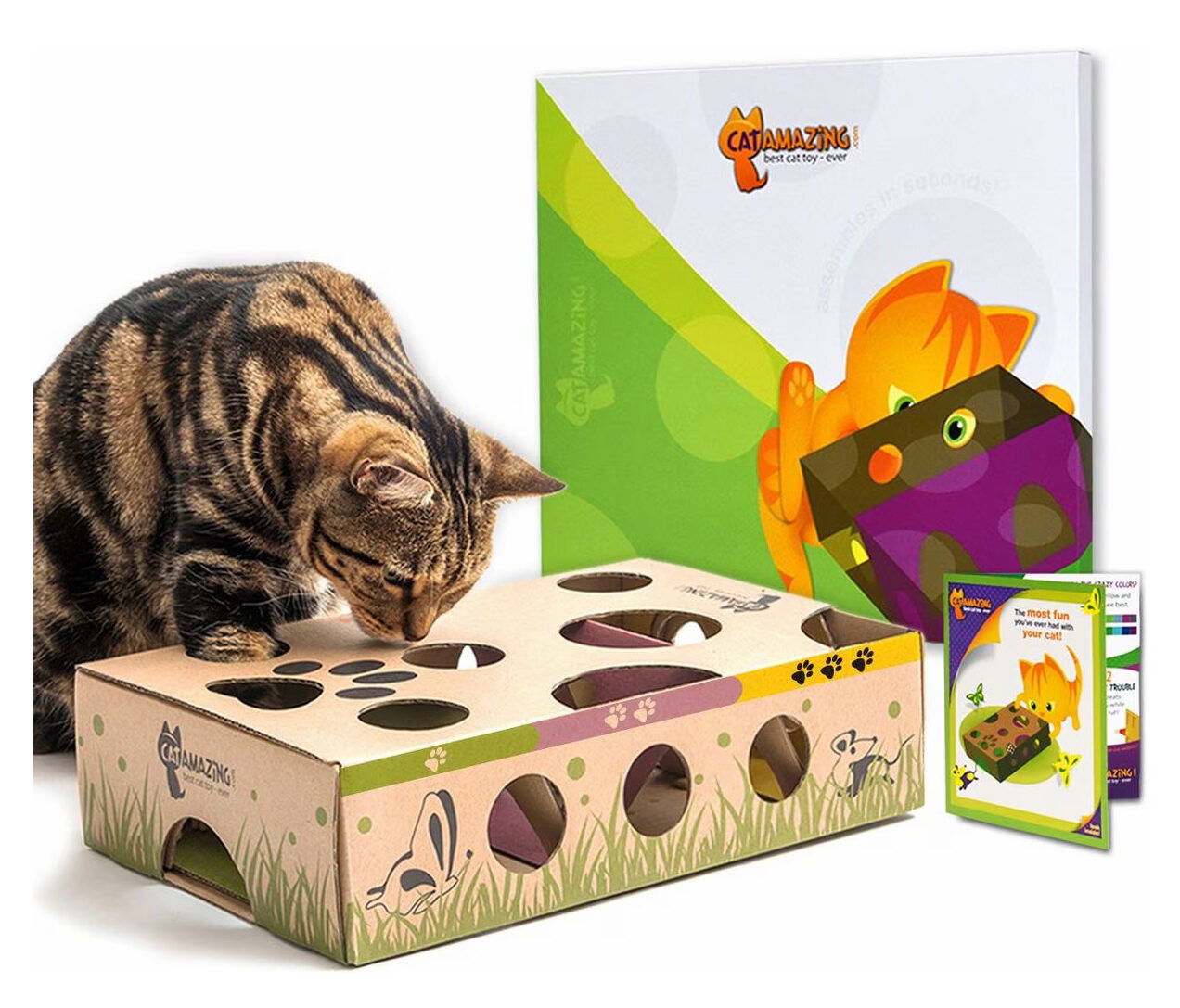Cat Amazing Interactive Treat Maze & Puzzle Cat Toy