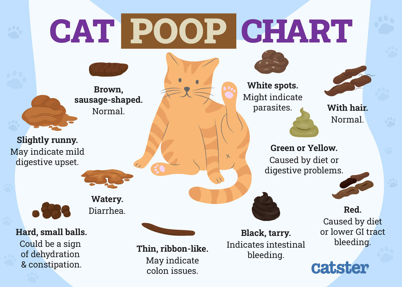 cat poop chart