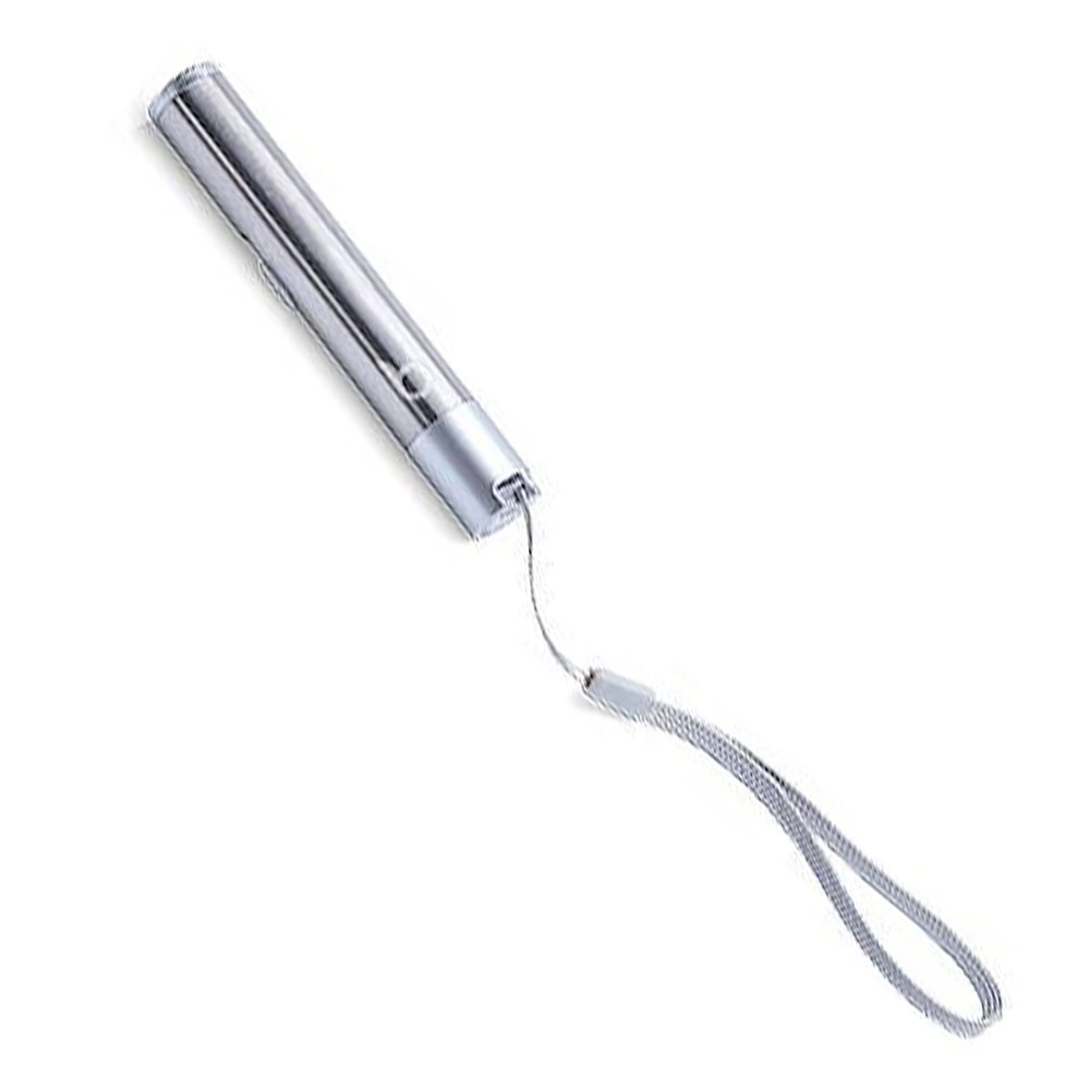 Litterbox.com Rechargeable Laser Pointer Cat Toy