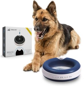 Torus Filtered Cat Water Bowl