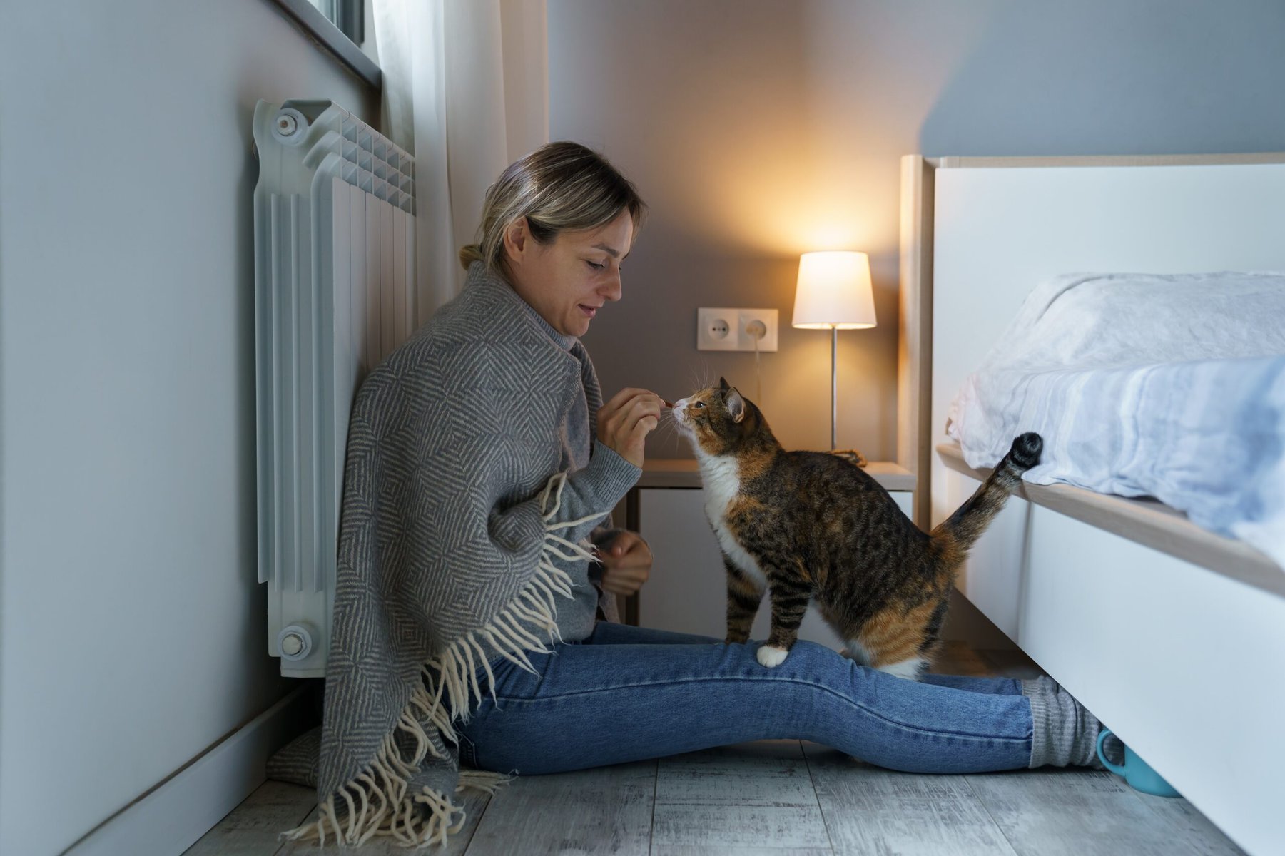Young woman covered with warm blanket plays with cat sitting on floor