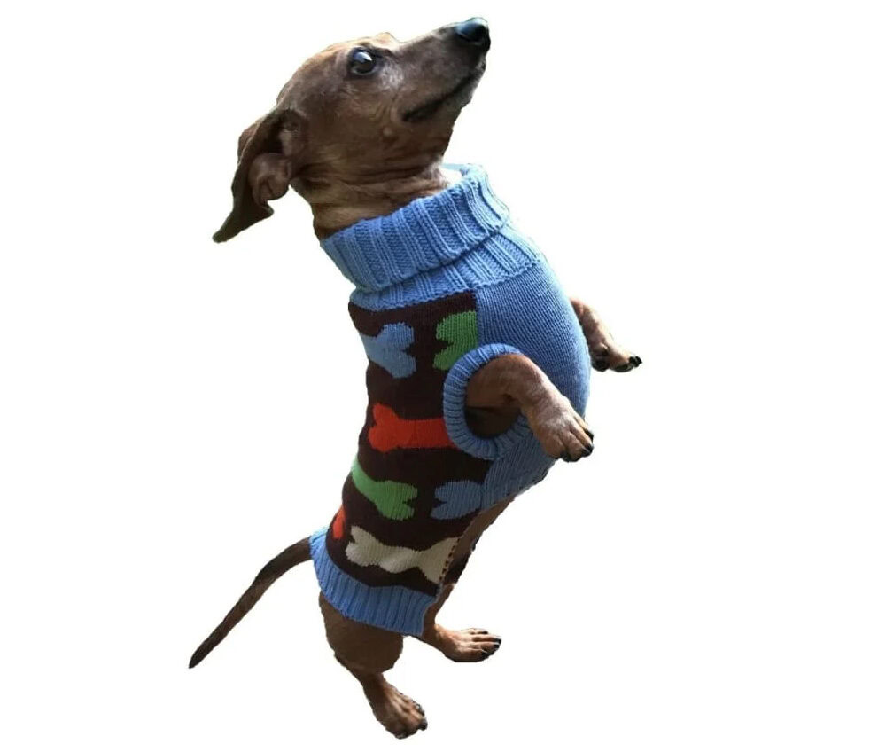 Frisco Colorblock Bone Accent Dog Sweater