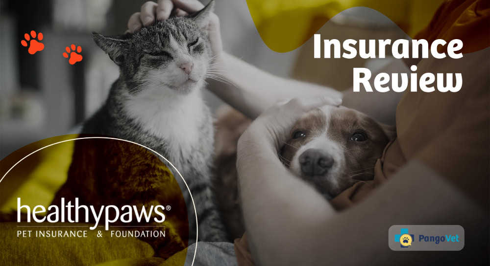 Healthy Paws Insurance logo