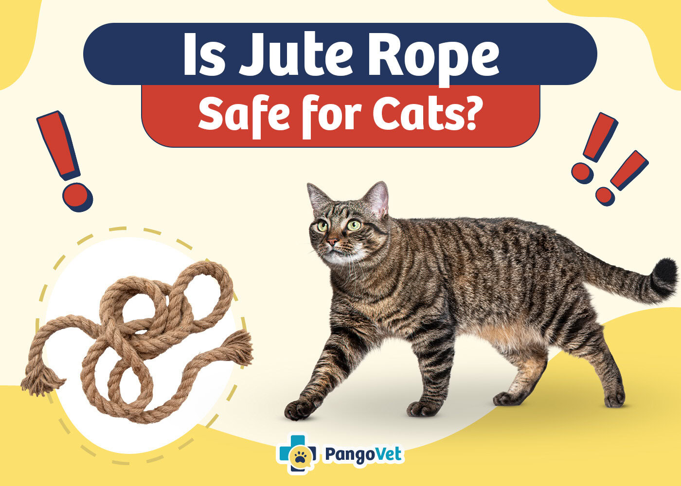 PangoVet_Is Jute Rope Safe for Cats