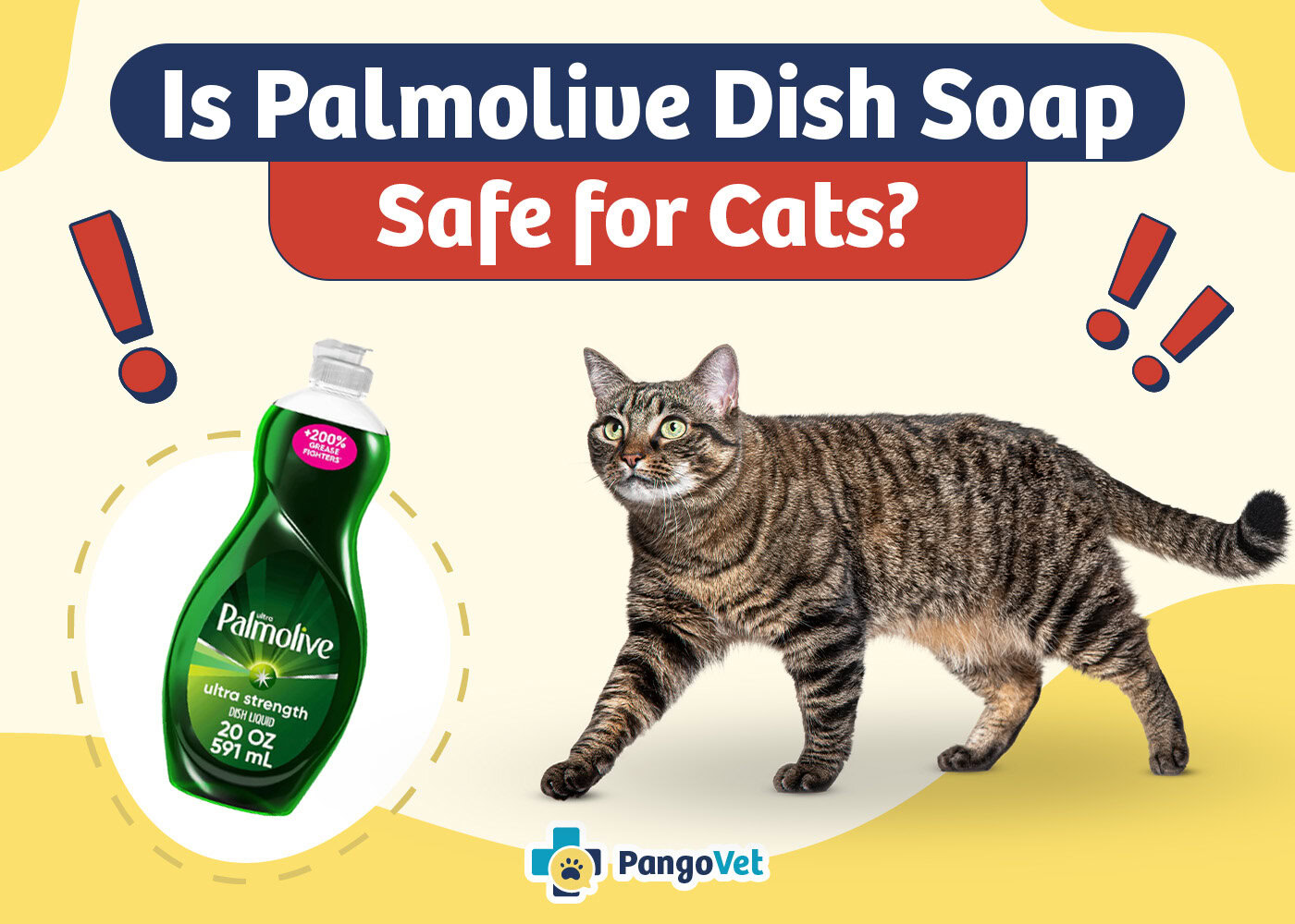 PangoVet_Is Palmolive Dish Soap Safe for Cats