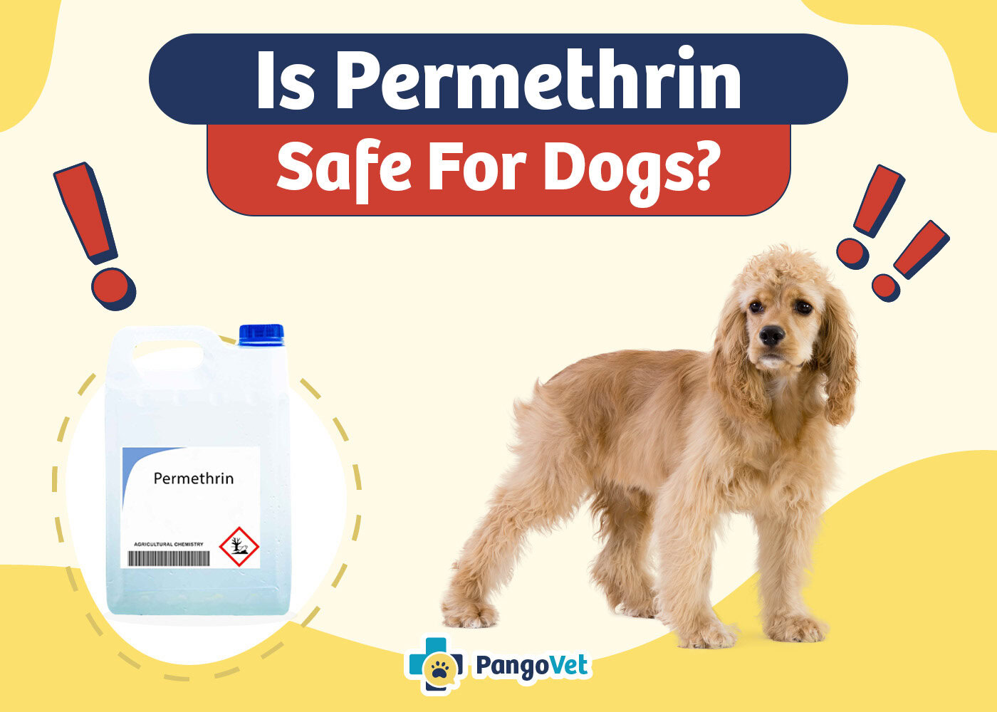PangoVet_Is Permethrin Safe For Dogs