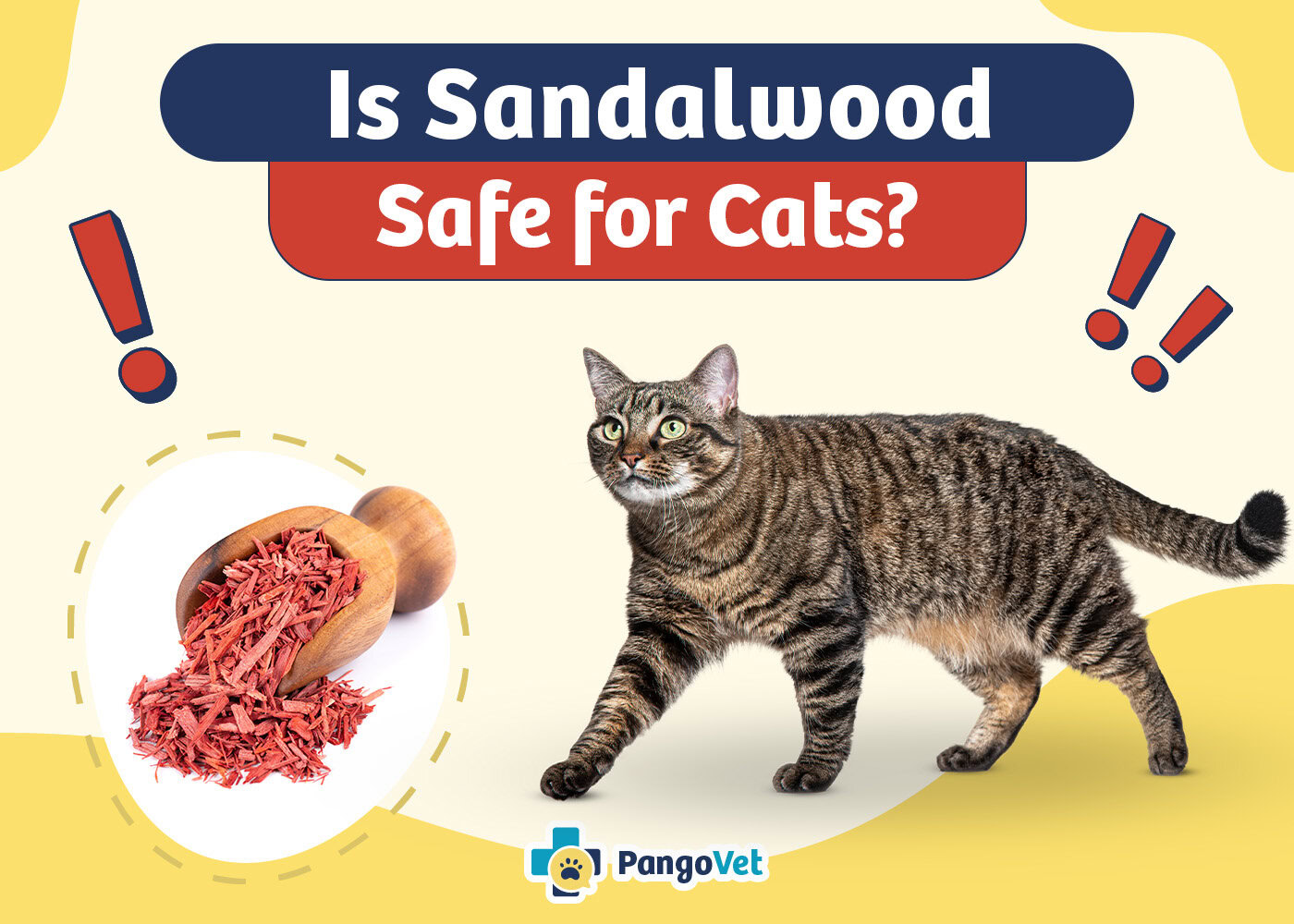 PangoVet_Is Sandalwood Safe for Cats