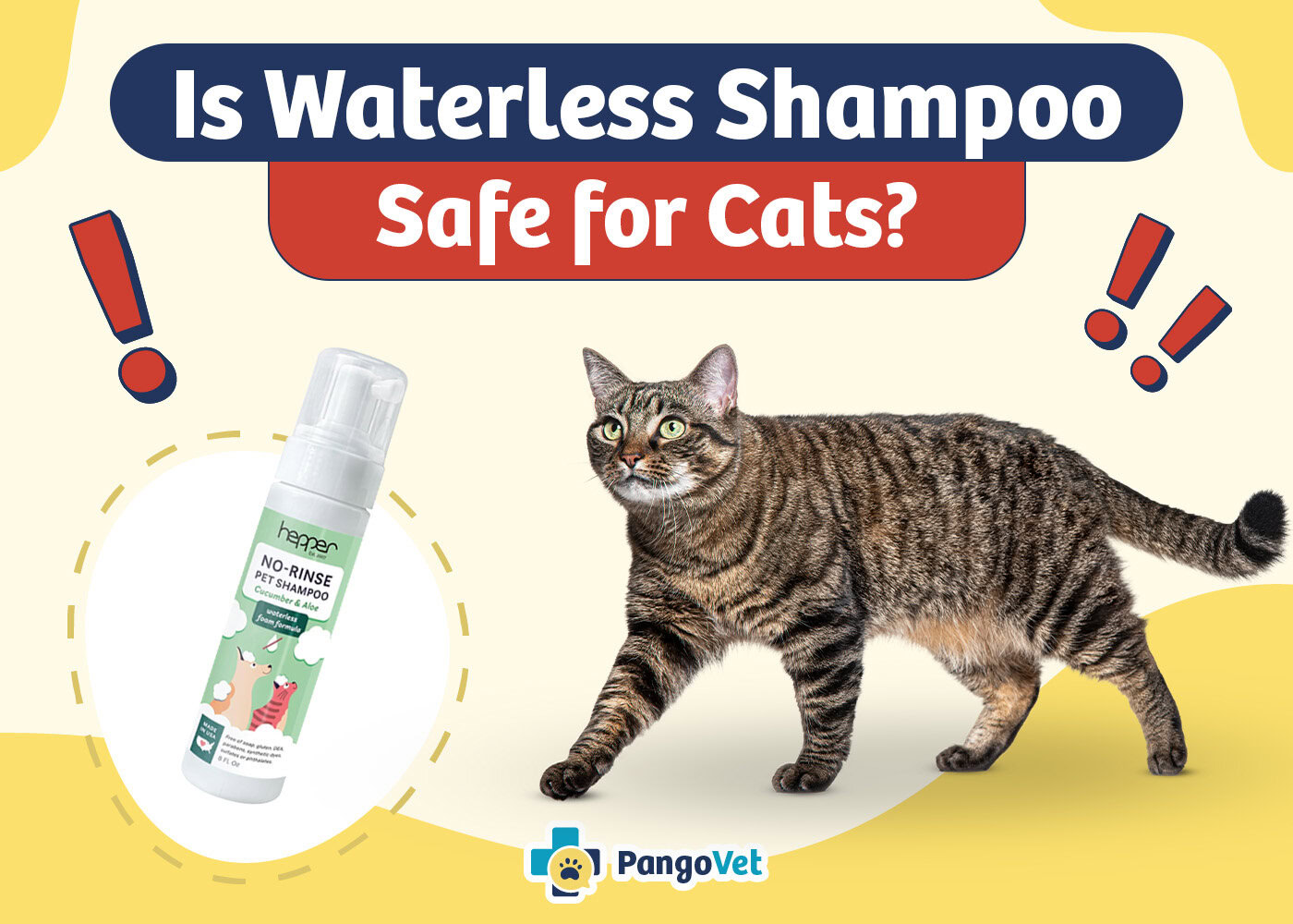 PangoVet_Is Waterless Shampoo Safe for Cats