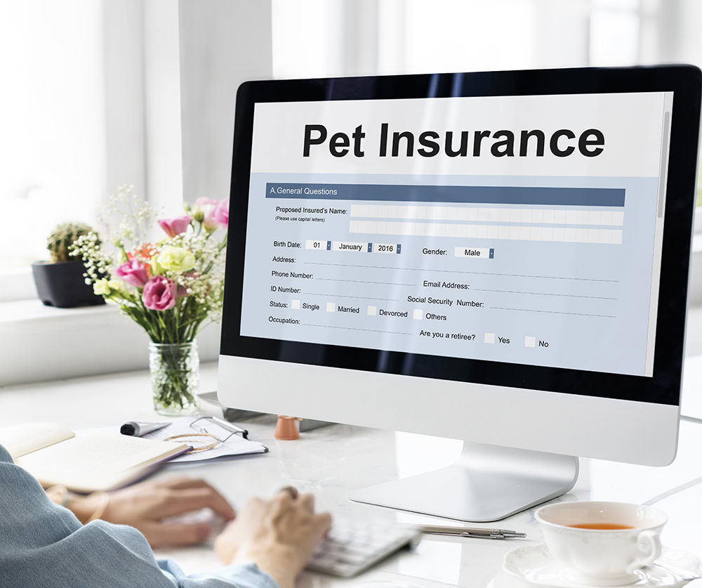 pet insurance form flashed on the computer