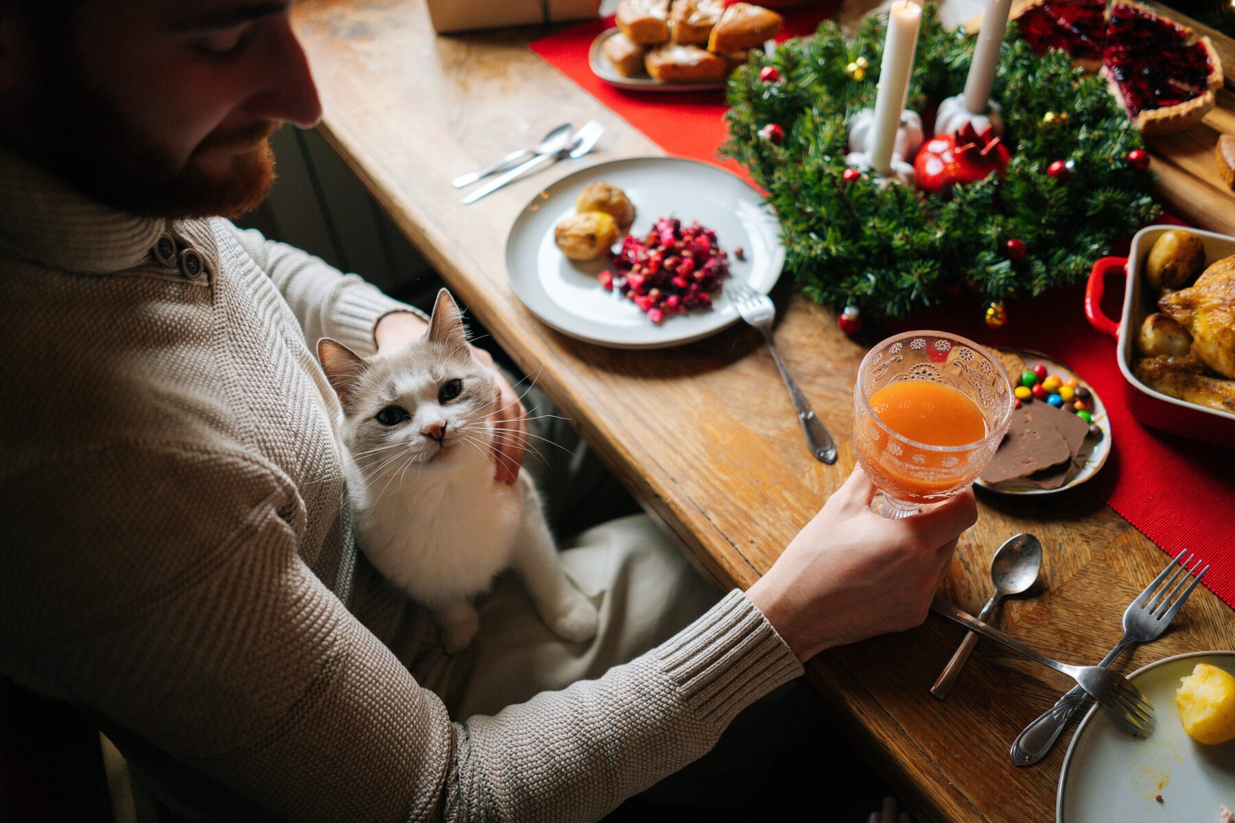 High-angle view of handsome bearded young man sitting at festive table with cat on lap and holding glass of fresh juice, during holiday family party