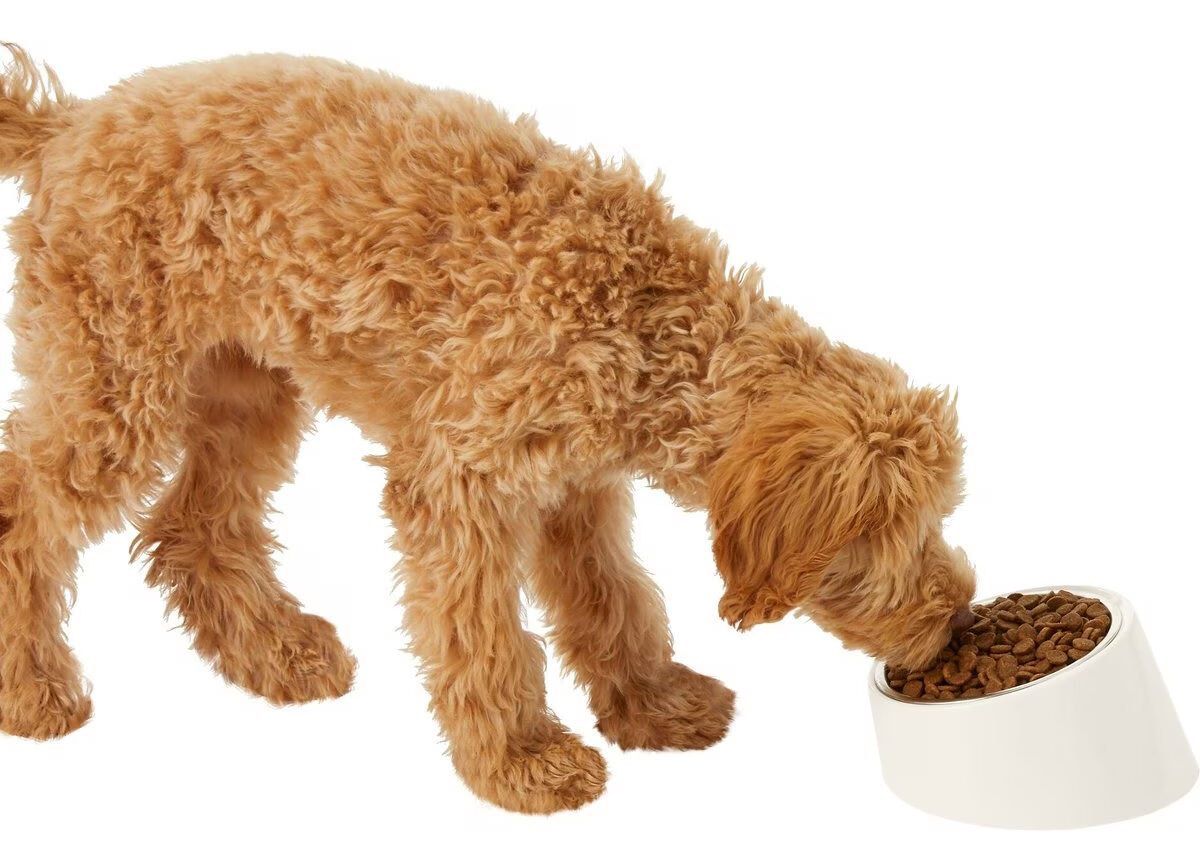 Frisco Slanted Stainless Steel Bowl