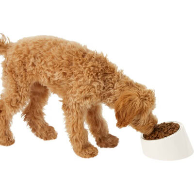 Frisco Slanted Stainless Steel Bowl