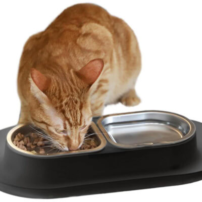 Hepper Nom Nom Cat Bowl