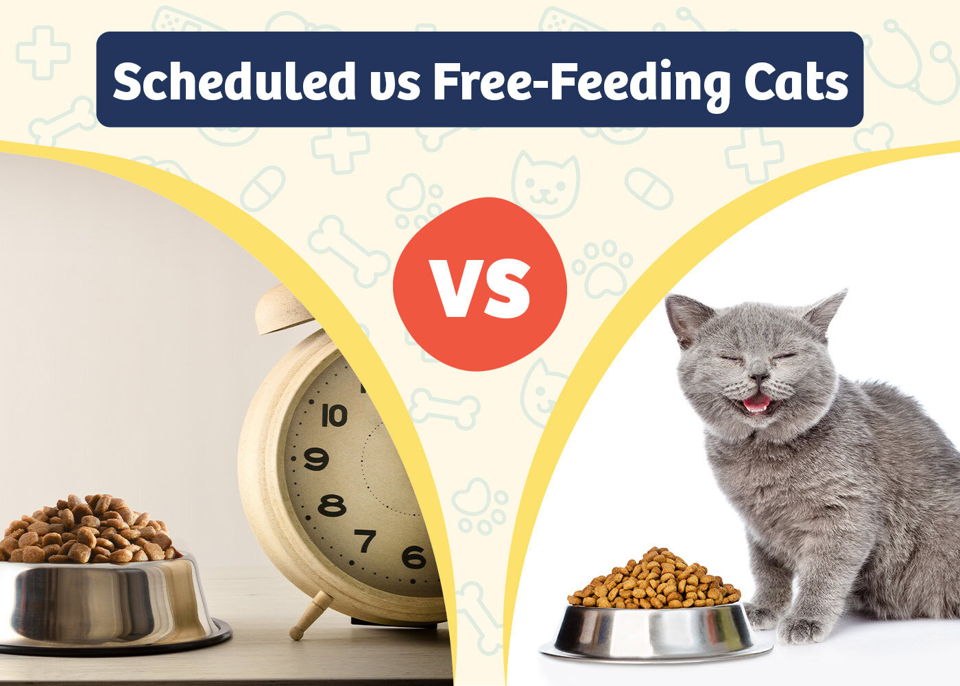 PangoVet_Product VS Product_Scheduled vs Free-Feeding Cats