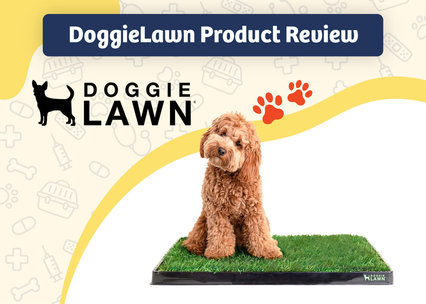 PangoVet_Review_DoggieLawn Product Review