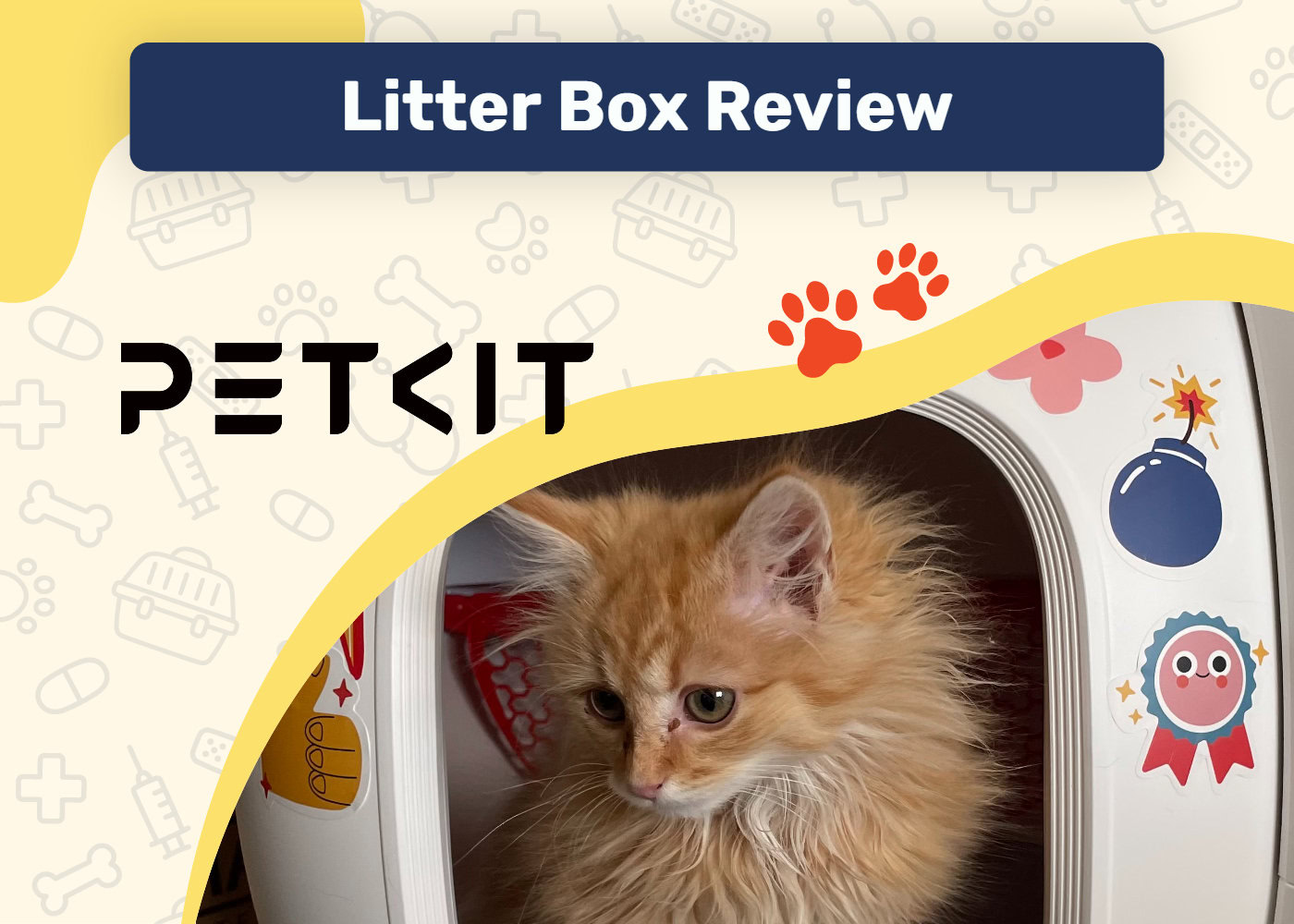 PangoVet_SAPR_PetKit Litter Box Review (1)