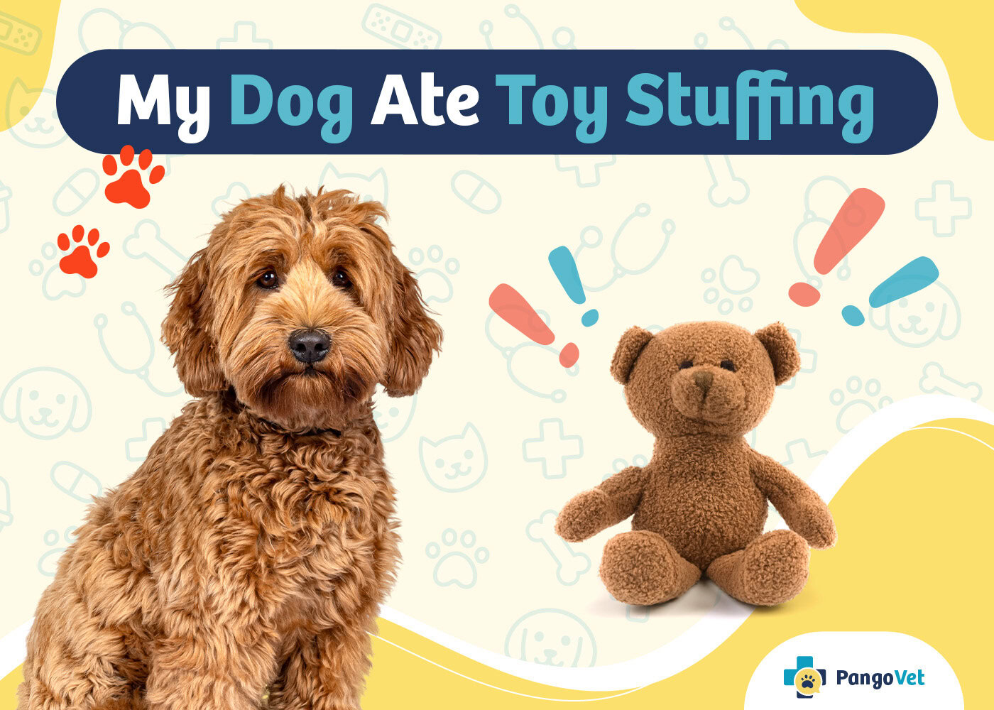 PangoVet_My Dog Ate Toy Stuffing