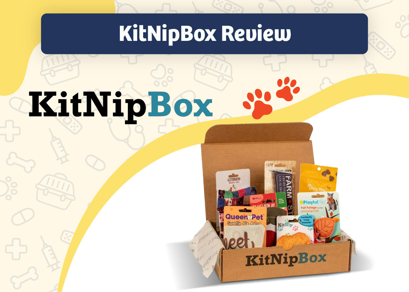 PangoVet_Review_KitNipBox Review