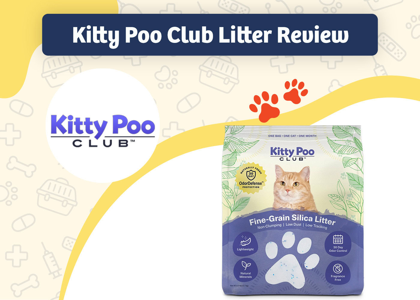 PangoVet_Review_Kitty Poo Club Litter Review