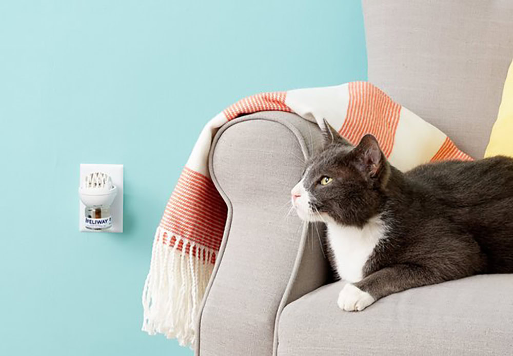 Cat and Feliway Classic Calming Diffuser