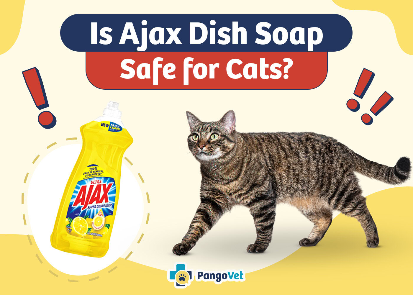 PangoVet_Is Ajax Dish Soap Safe for Cats