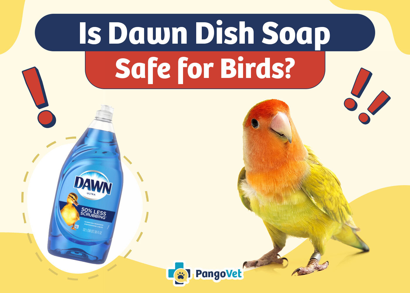 PangoVet_Is Dawn Dish Soap Safe for Birds