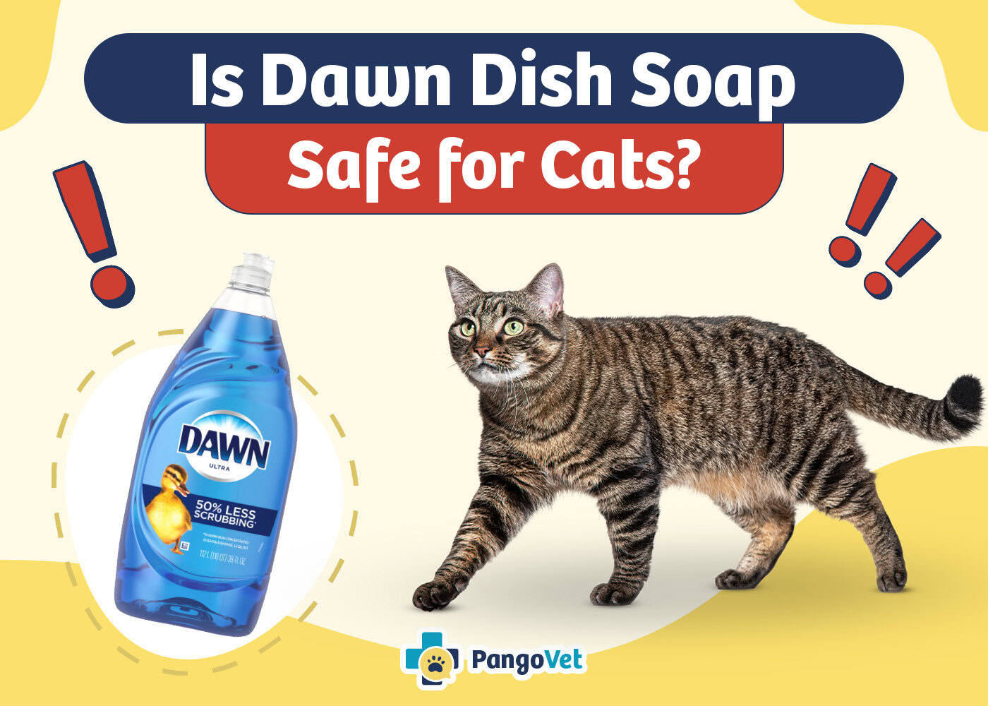 PangoVet_Is Dawn Dish Soap Safe for Cats
