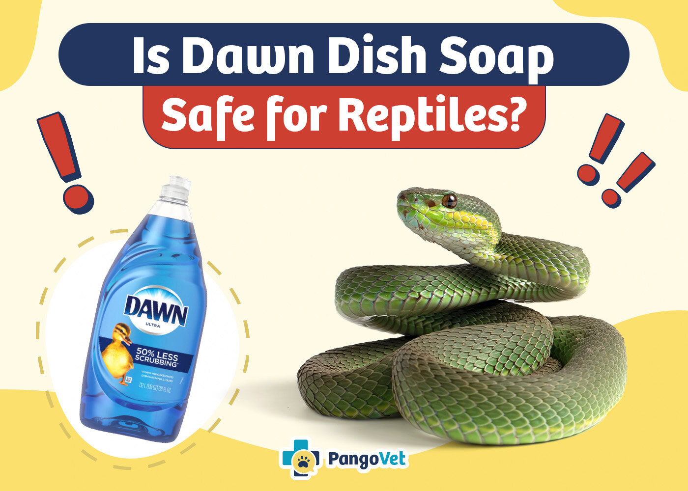 PangoVet_Is Dawn Dish Soap Safe for Reptiles