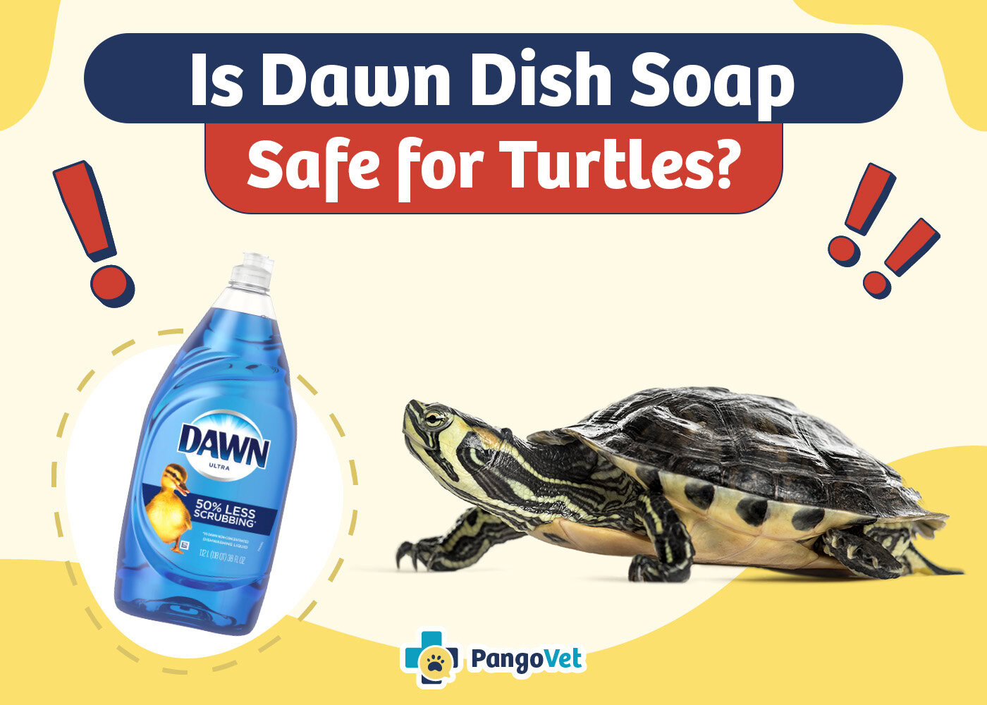 PangoVet_Is Dawn Dish Soap Safe for Turtles