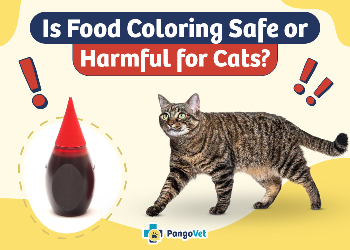 PangoVet_Is Food Coloring Safe or Harmful for Cats